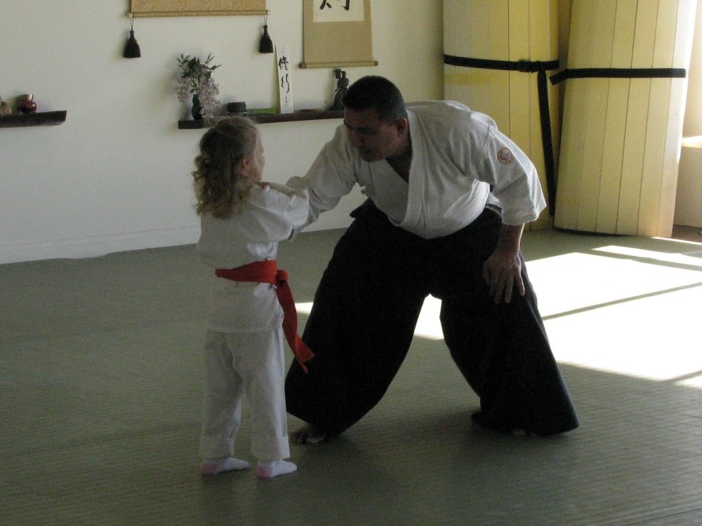 aikido picture